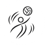 Icon Volleyball
