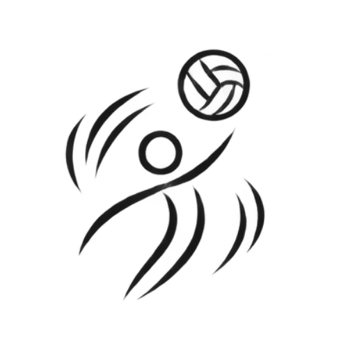 Icon Volleyball